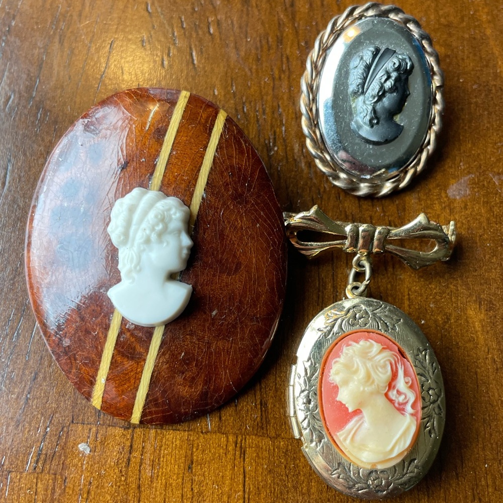 Vintage Cameo Brooch Set